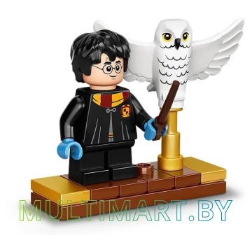 Конструктор LEGO Harry Potter 75979 Букля картинка 4